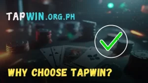 Why Choose Tapwin